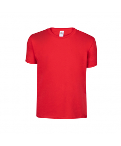 Camiseta Niño Color Iconic