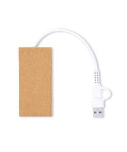 Puerto USB Hasgar
