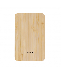Power Bank Newin
