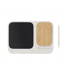 Cargador Tablet Escritura LCD Artic