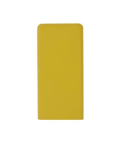 Power Bank Caplan