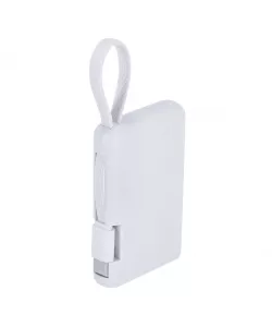 Power Bank Brandin